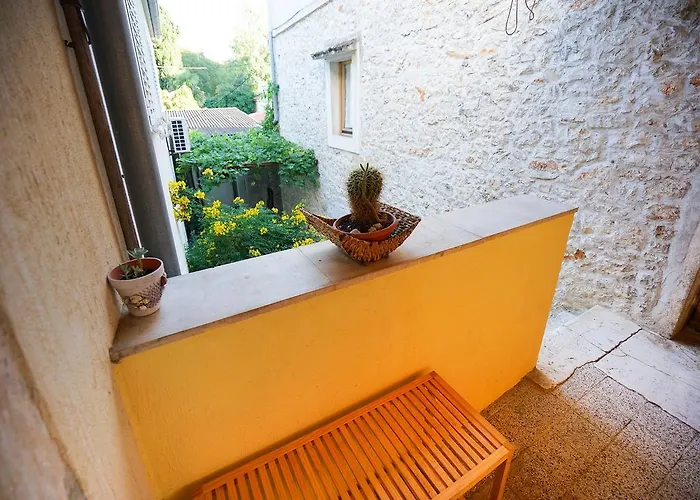 Krianca * זאדאר